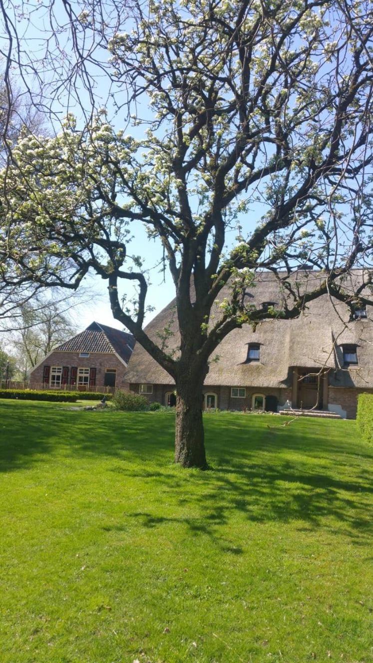 Bed and Breakfast Landgoed Groot Boerle à Wijhe Extérieur photo